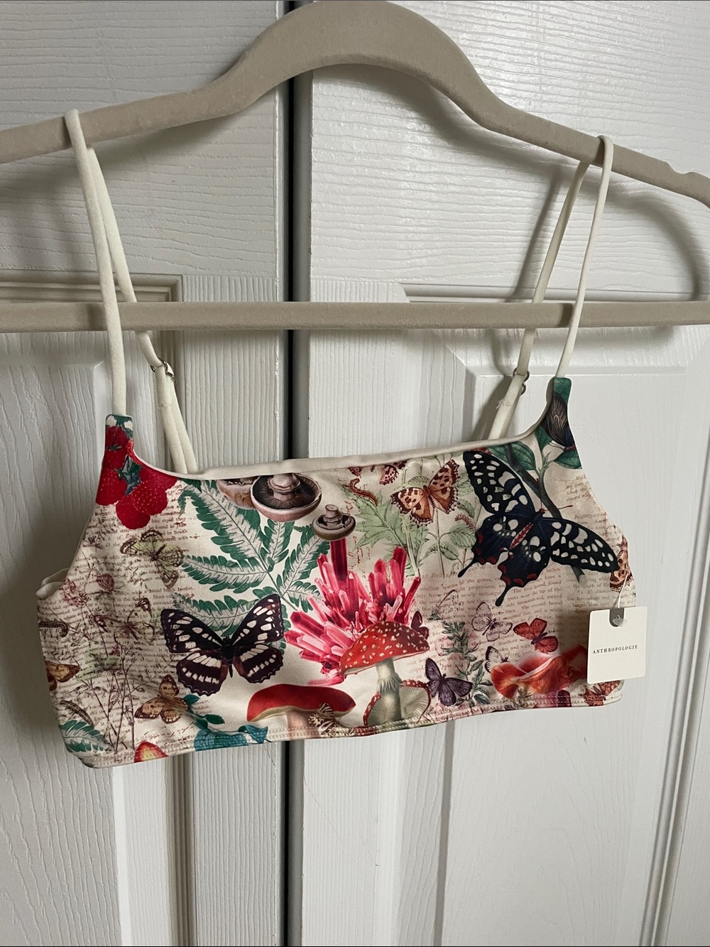 Anthropologie Botanical Butterfly Crop Top - Cream with Multicolor Print